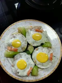 Shrimp bullshit