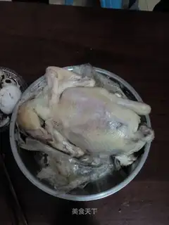 Salt chicken
