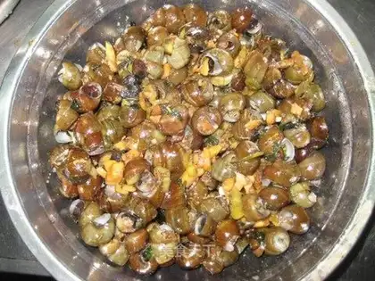 stir-fried field snails