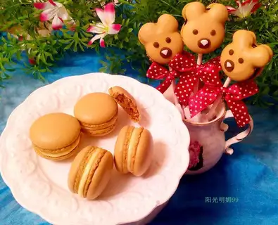 Bear lollipop macaron