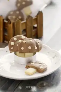 Thanks for the mushroom cookies