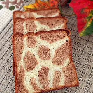 Toast deer