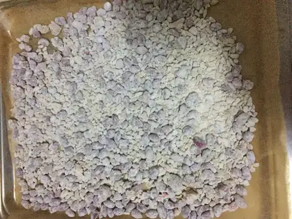 Frozen peanut bean