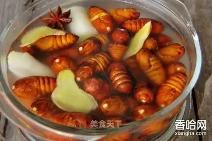 Saline boiled silk