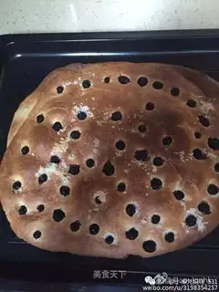 Blueberry Fly