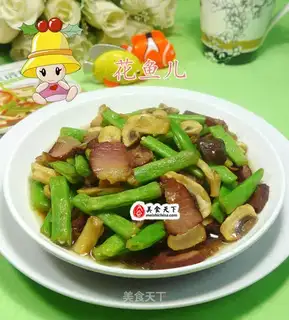 Fungus sauce