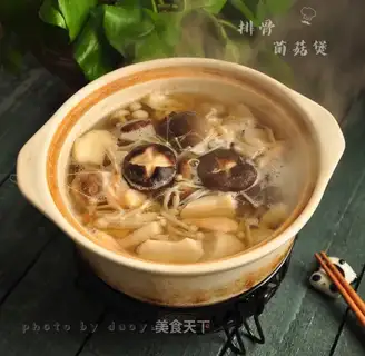Polio mushrooms