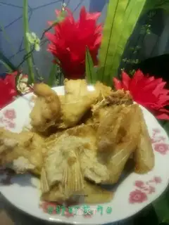 Fish chops