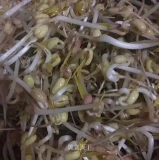 Green bean sprouts