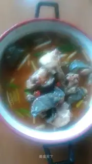 Squidfish