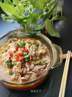 Gold soup fat cow