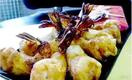 Firecracker shrimp