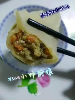 Spam dumplings