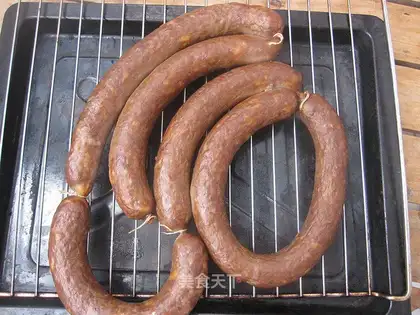 Homemade intestines