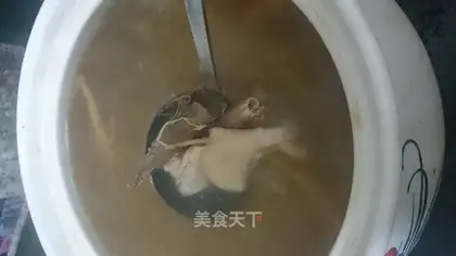 Sea snake chicken soup