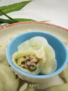 Fresh meat dumplings