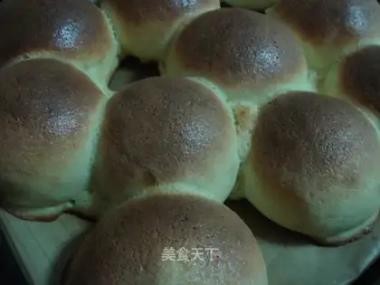 coconut Mexican bun
