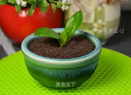 Porcelain yogurt
