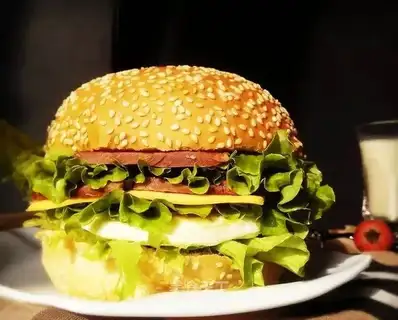 Hamburger