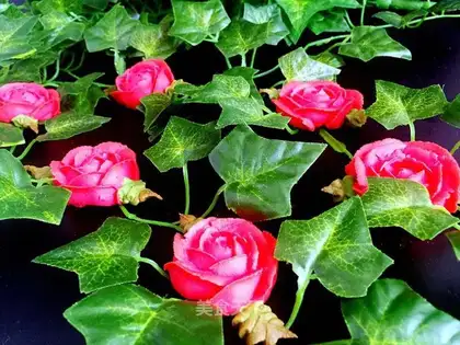 Beansa Rose cookies