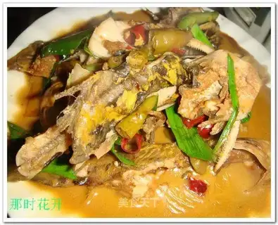 Braised Pelteobrus fulvidraco