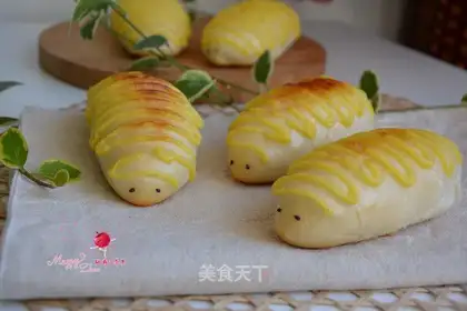 caterpillars