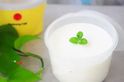Homemade yogurt