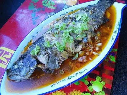 Rainbow trout