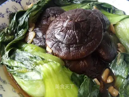 The mushrooms and the oil