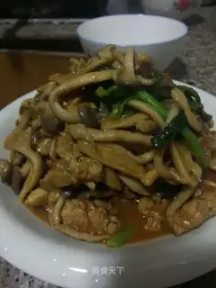 Chicken-legged, fried meat