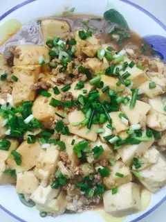 Meat tofu