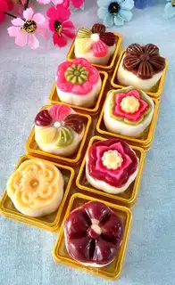 Frozen mooncake
