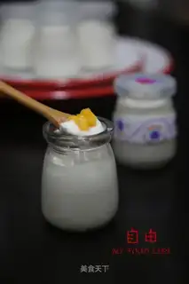 Homemade yogurt