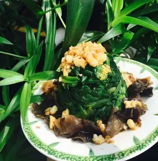 Wood spinach