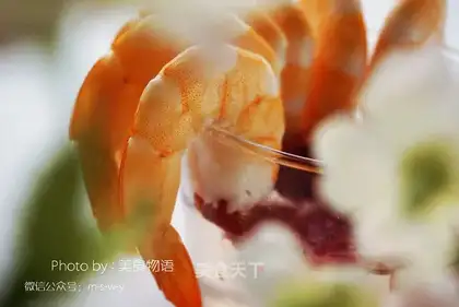 Shrimp