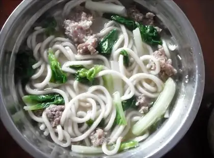 udon noodles