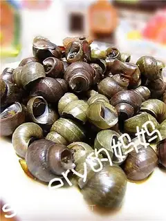 Spicy snails
