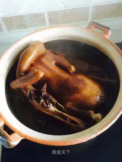 Salud duck
