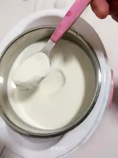 Homemade yogurt