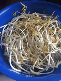 Home rapid bean sprouts