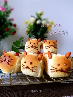 Catbread