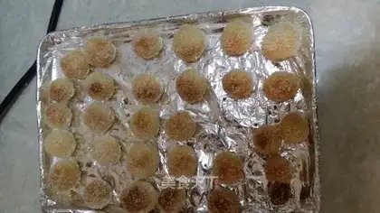 Protein coconut ball