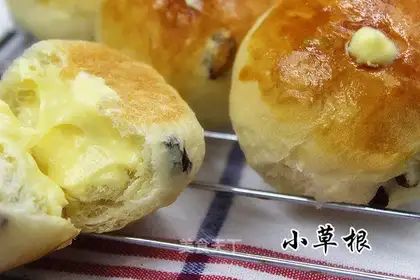 Tits, butter, bread