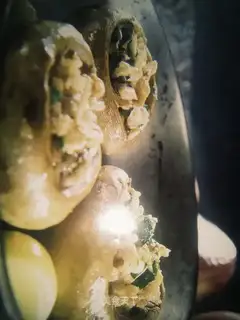 Garlic mushrooms