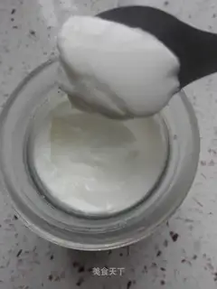 Homemade yogurt