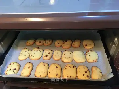 Cranberry cookies