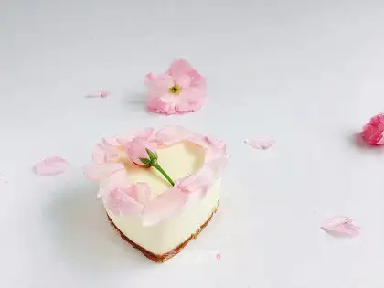 Yogurt mousse cake
