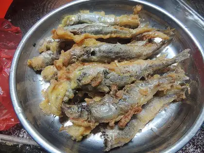 ♪ So many spring fish ♪