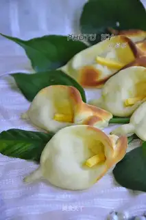 Horseshoe Lotus Pack