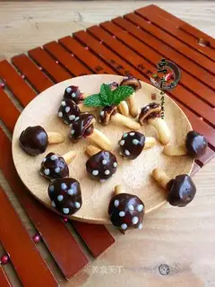 Fungus